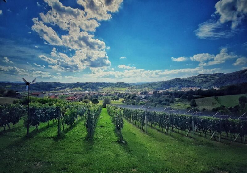 From Zagreb: Samobor & Plesivica Wine Road, Private - Final Thoughts