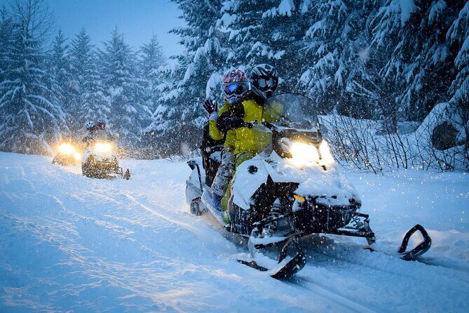 From Zakopane Snowmobile Ride with Bonfire and Transfer - Detailed Itinerary Breakdown