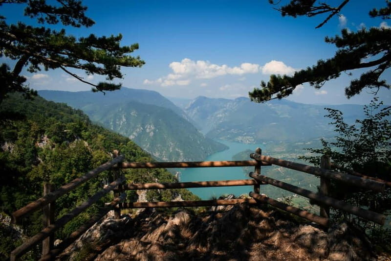 From Zlatibor/Uice: Mokra Gora & Tara National Park - The Value of This Tour