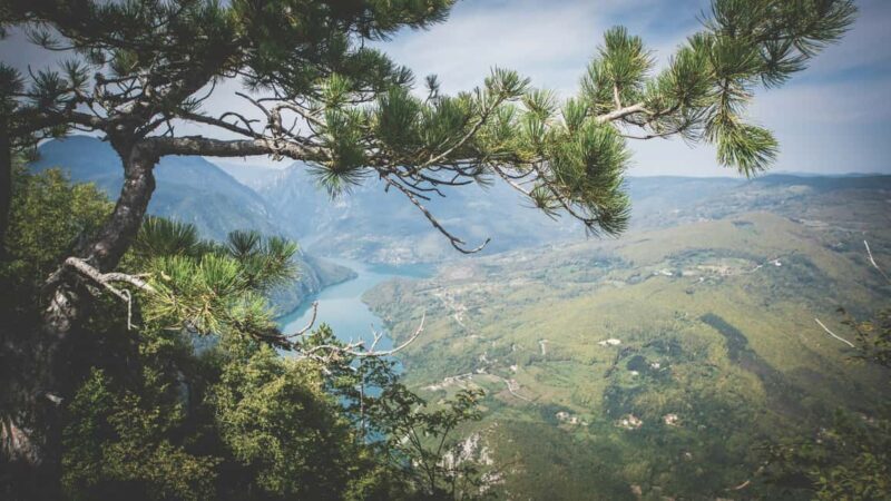 From Zlatibor/Uice: Tara National Park Adventure - Key Points