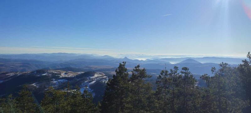 From Zlatibor/Uice: Tara National Park Adventure - FAQ
