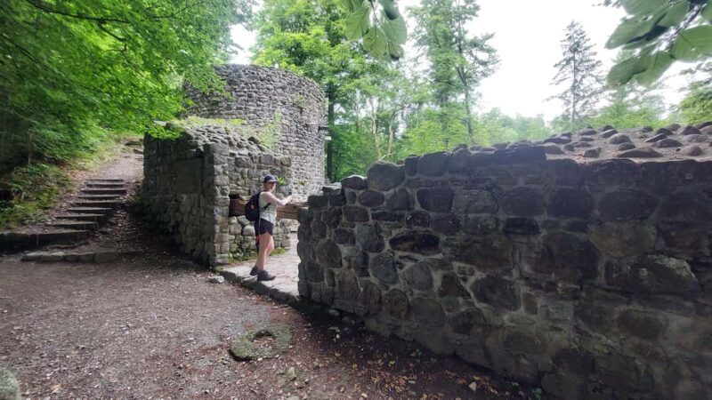 From Zug: Lorze Valley Forest Hike with Guide and Bus - Key Points