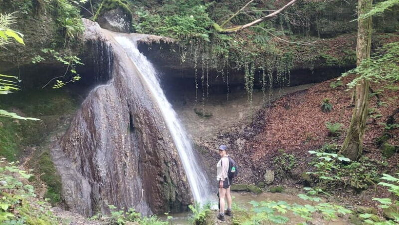 From Zug: Lorze Valley Forest Hike with Guide and Bus - An In-Depth Look at the Lorze Valley Forest Hike