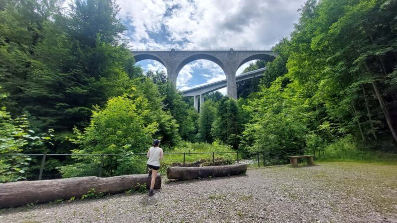 From Zug: Lorze Valley Forest Hike with Guide and Bus - Who Will Love This Experience?