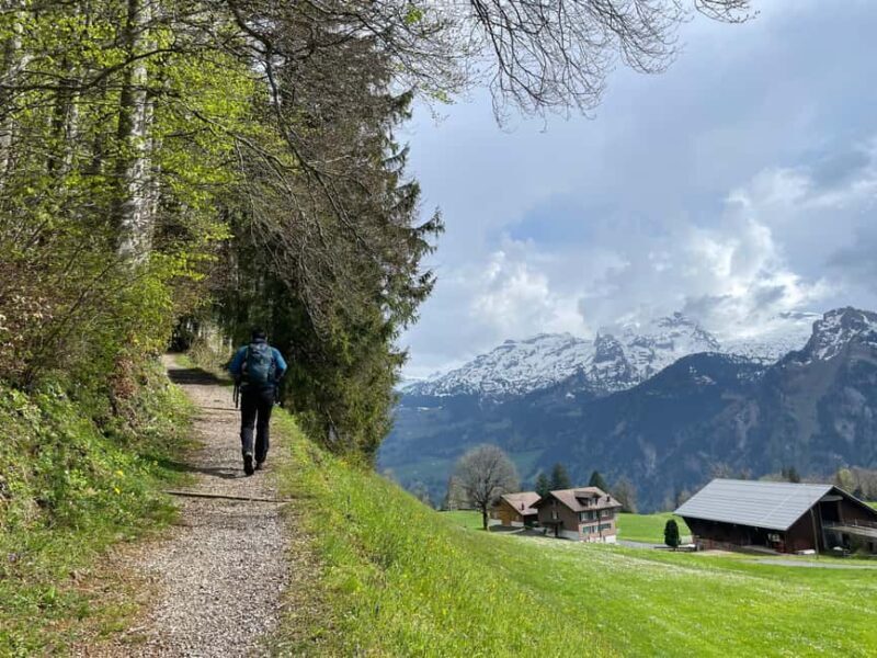 From Zug: Mythen Region Guided Hike with Gondola Rides - Key Points