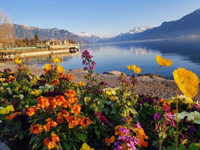 From Zurich: 7-Day Tour to Geneva with Tickets and Lodging - Final Thoughts