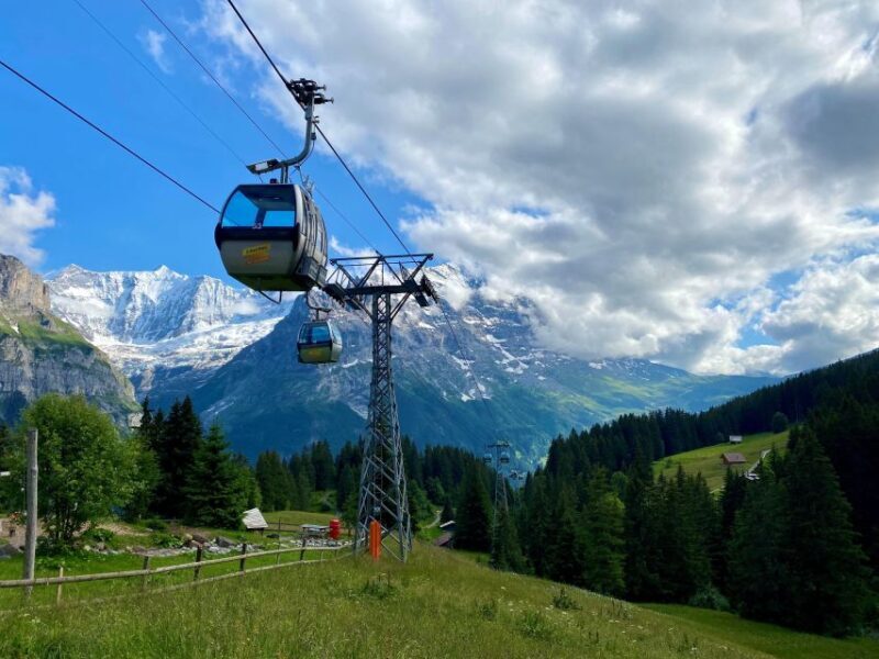 From Zurich: Grindelwald and First Cliff Walk Day Trip - An In-Depth Look at the Experience