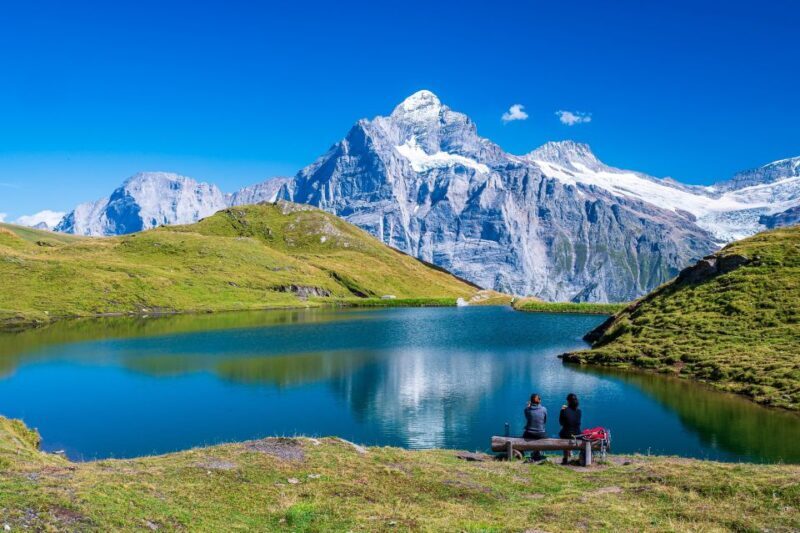 From Zurich: Grindelwald and First Cliff Walk Day Trip - Who Will Love This Tour?