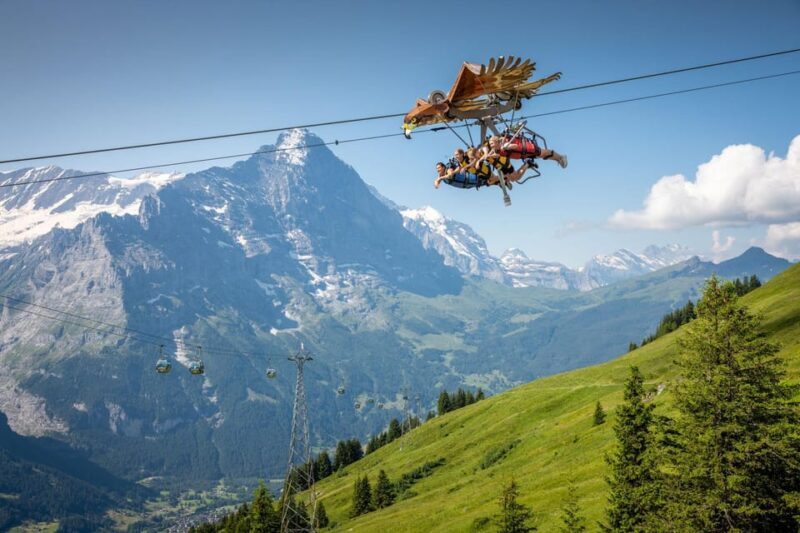 From Zurich: Grindelwald First Cable Car & Interlaken - Who Would Enjoy This Tour?