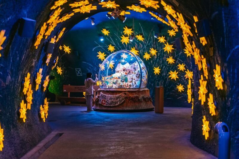 From Zurich: Guided Day Trip to Jungfraujoch with Train Ride - A Deep Dive into the Experience