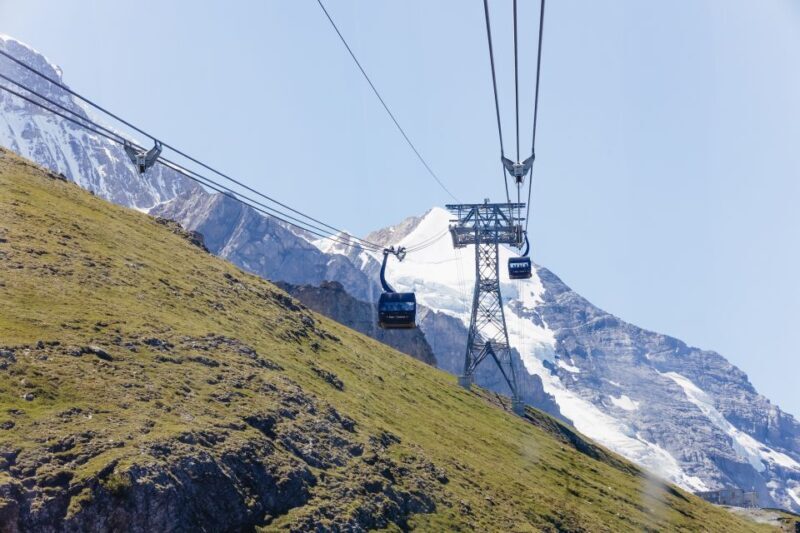 From Zurich: Guided Day Trip to Jungfraujoch with Train Ride - Who Should Book This Tour?