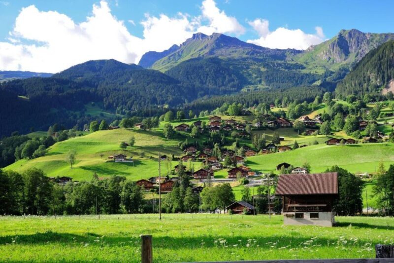 From Zürich: Interlaken and Grindelwald Day Trip by Coach - Deep Dive: Is the Tour Worth the Price?