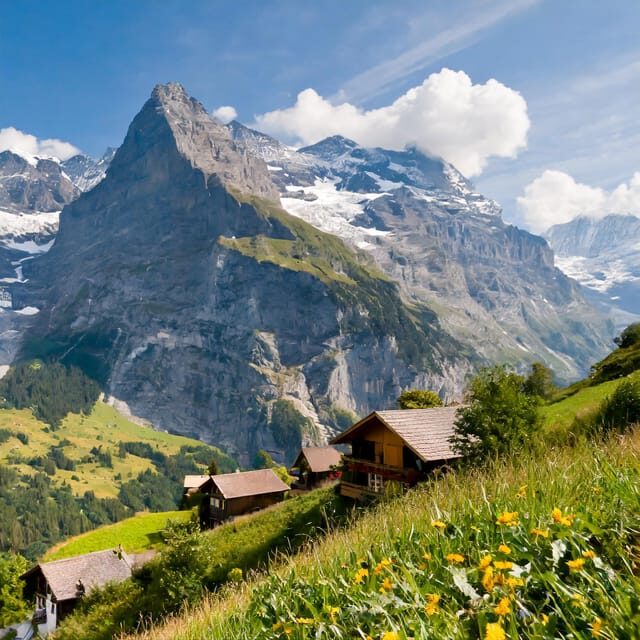 From Zurich: Interlaken and Grindelwald Private Day Tour - Who Is This Tour Best For?