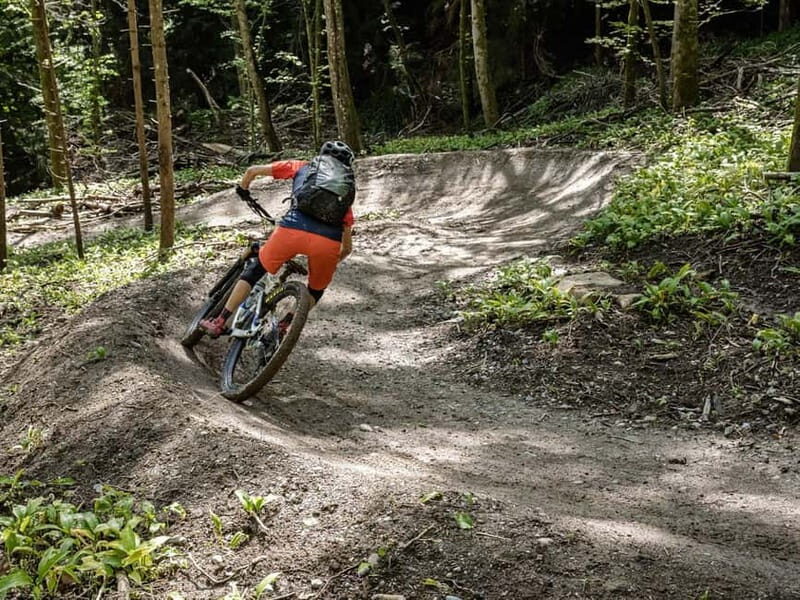From Zurich: Mountain Magic on Two Wheels to Uetliberg - Who Would Love This Experience?
