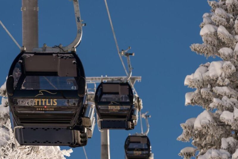 From Zurich: Mt. Titlis, Glacier Paradise, and Lucerne Tour - What Reviewers Say