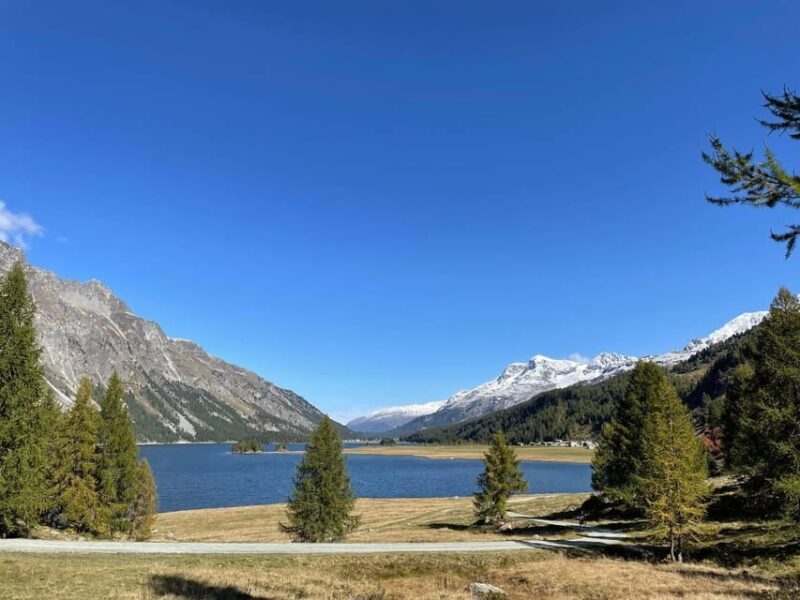 From Zurich: Private Day Trip to St. Moritz - Key Points