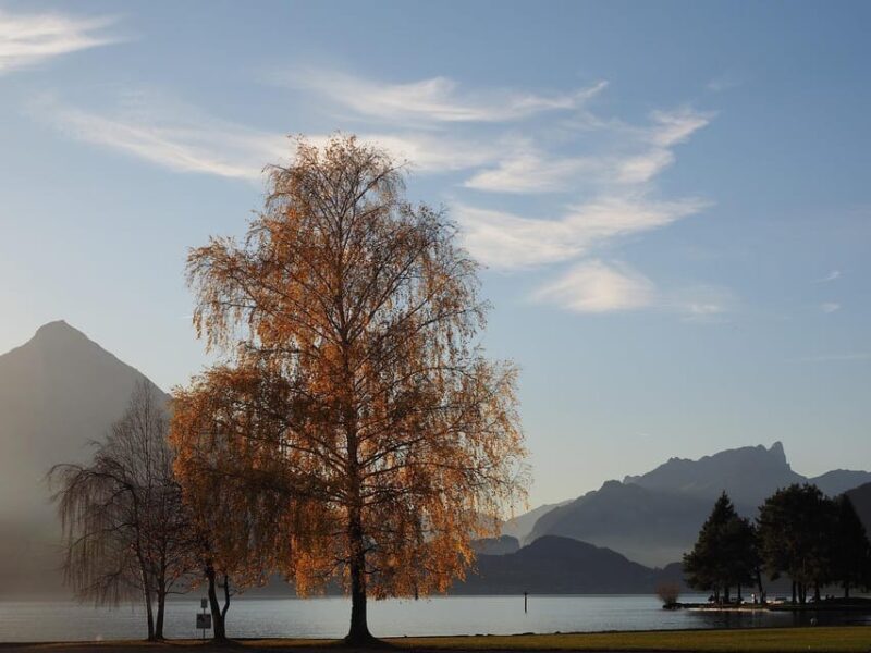 From Zurich: Private Interlaken and Grindelwald Car Tour - Who Is This Tour Best For?