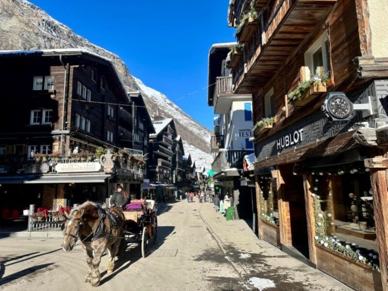 From Zurich: Zermatt Village & Glacier Paradise Private Tour - Who Will Love This Tour?