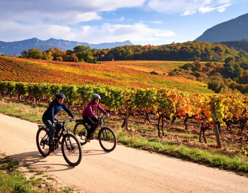Fronsac vineyard mountain bike tour + wine tasting at La Closerie de Fronsac - The Winery Tour and Artisanal Insights
