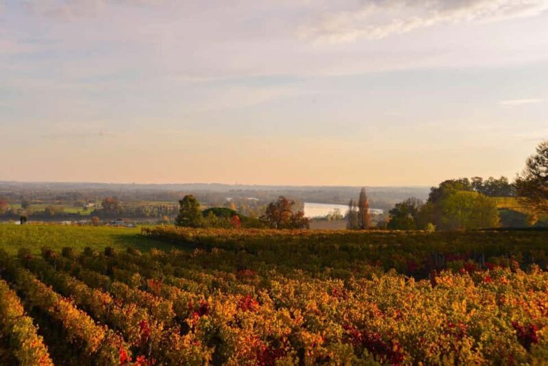 Fronsac vineyard mountain bike tour + wine tasting at La Closerie de Fronsac - FAQ