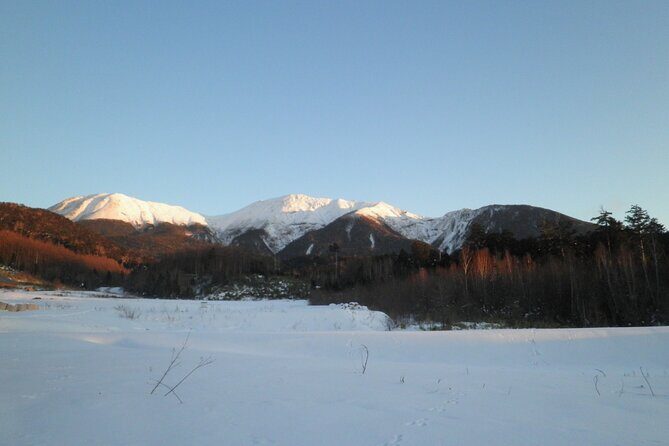 Frozen fall trekking - Frozen Fall Trekking: An Authentic Winter Adventure in Gero, Japan
