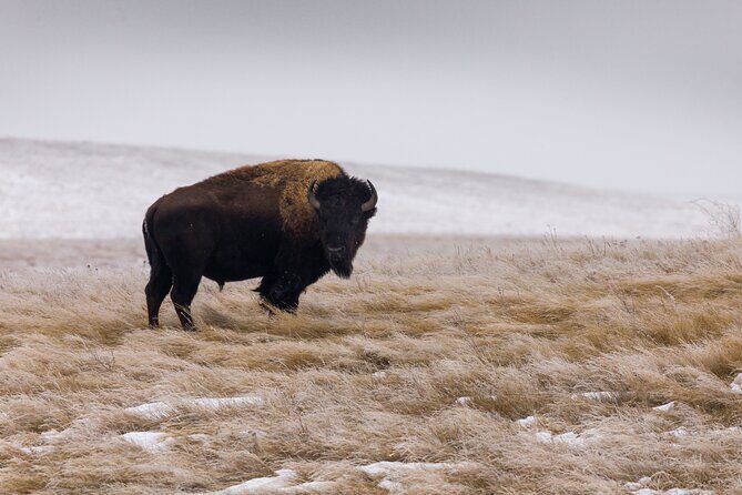 Frozen Frontier: Badlands Winter Expedition - Key Points