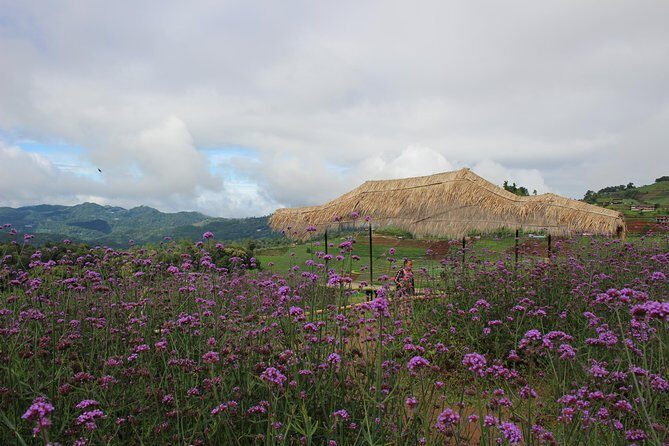 Fruiful Oneday! Trip outskirt of a City from end to end - An In-Depth Look at the Tour Experience