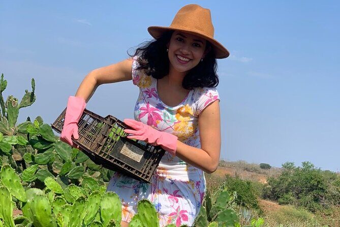 Fruit Garden and Mezcal Tasting Tour with Lunch Included - A Detailed Look at the Tour