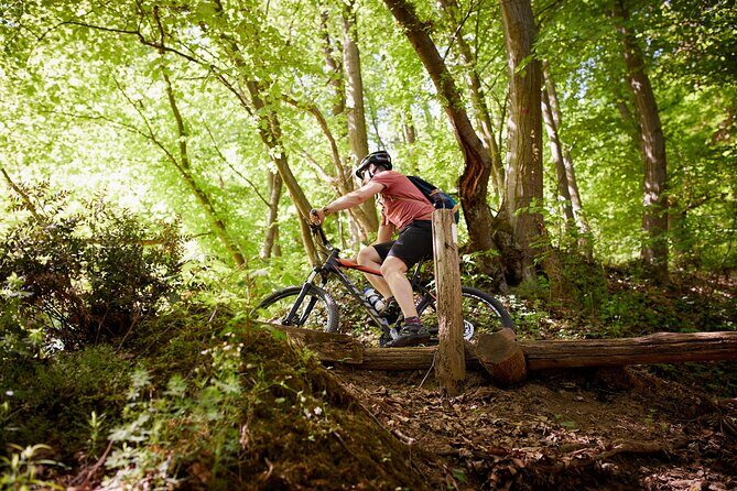 Fruka Gora Bike Tour - Summary of the Experience