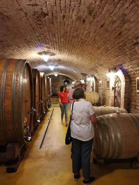 Fruka Gora Wine Tasting - A Closer Look at What the Tour Offers