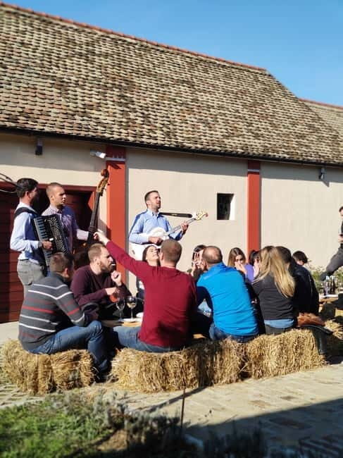 Fruka Gora Wine Tasting - Who Should Consider This Tour?
