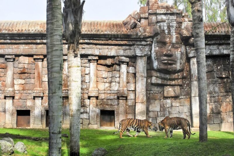 Fuengirola: Bioparc Entrance Ticket - What You Can Expect at Bioparc Fuengirola