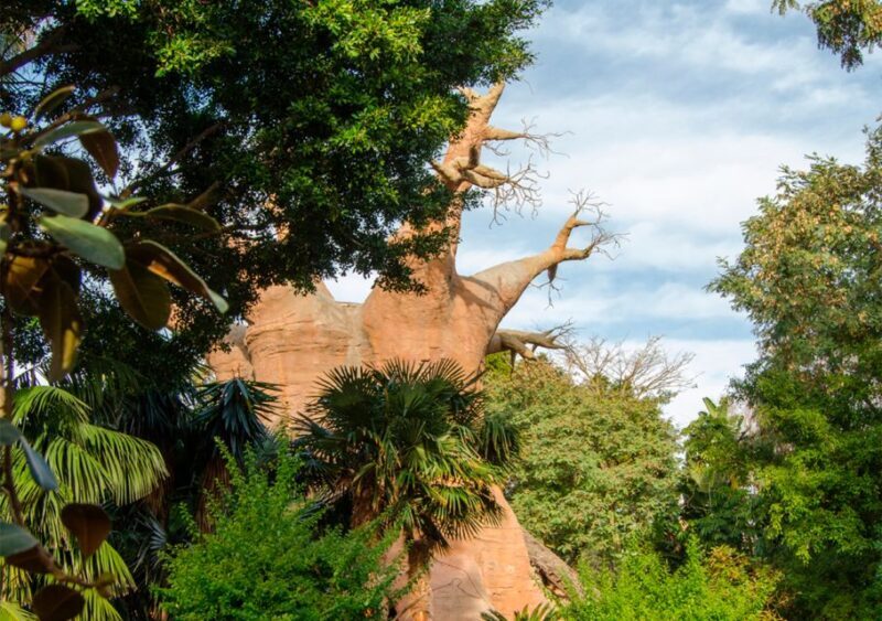 Fuengirola: Bioparc Entrance Ticket - FAQ