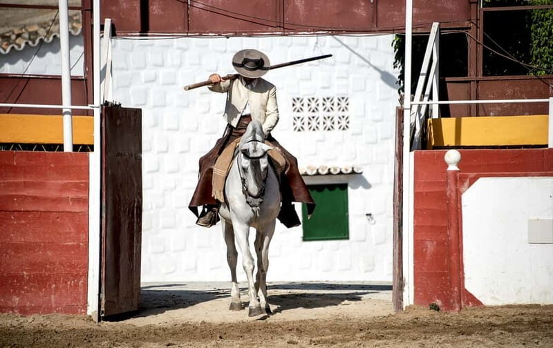 Fuengirola: Spanish Horse Show with Optional Dinner/Flamenco - A Deep Dive into the Experience