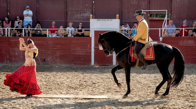 Fuengirola: Spanish Horse Show with Optional Dinner/Flamenco - Final Thoughts