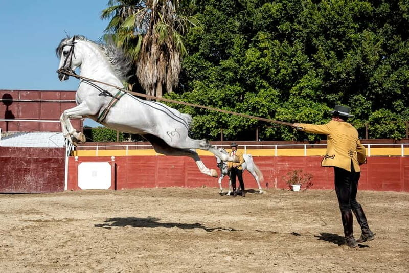 Fuengirola: Spanish Horse Show with Optional Dinner/Flamenco - FAQ