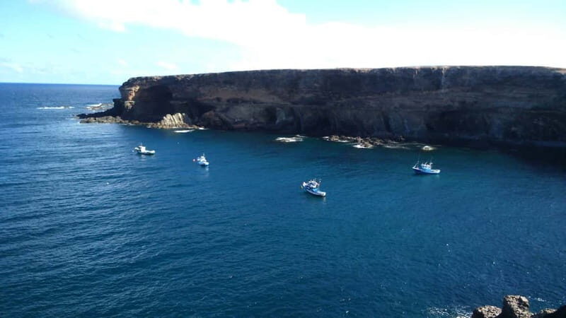 Fuerteventa: Ajuy Pirate Caves & Aloe Factory Half-Day Trip - Who Will Love This Tour?