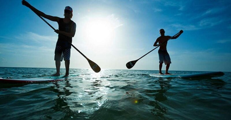 Fuerteventura: 1.5-Hour SUP Course - Caleta de Fuste - Key Points