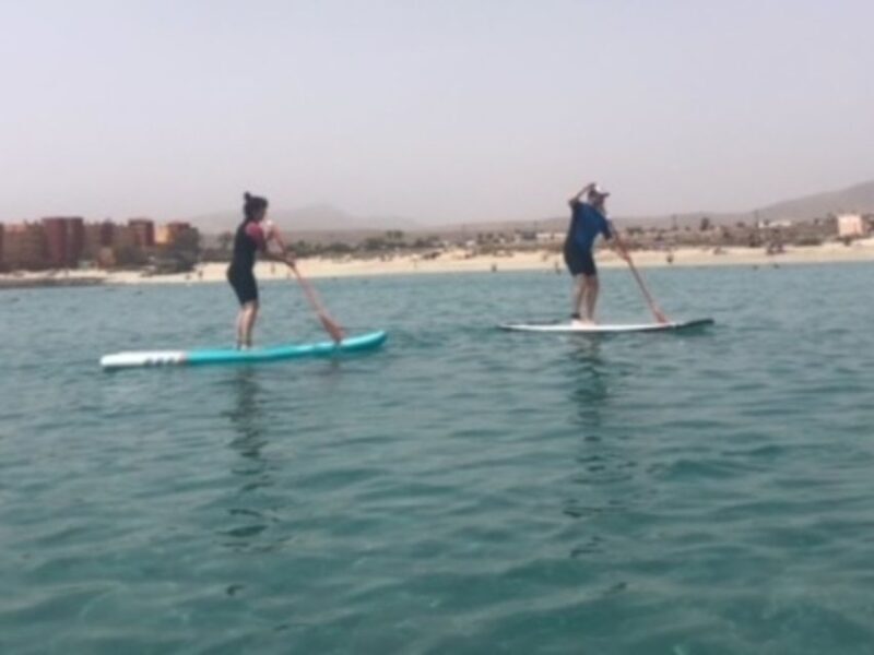Fuerteventura: 1.5-Hour SUP Course - Caleta de Fuste - What to Expect from Your SUP Course in Caleta de Fuste