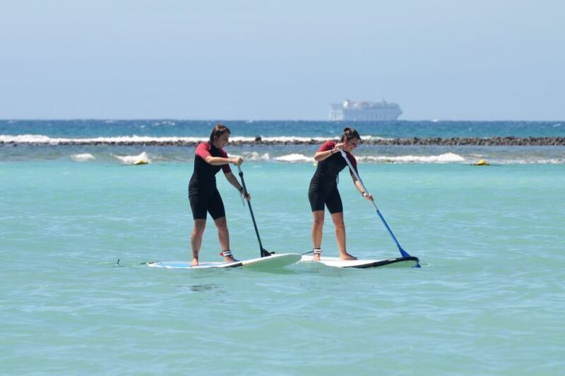 Fuerteventura: 1.5-Hour SUP Course - Caleta de Fuste - The Sum Up