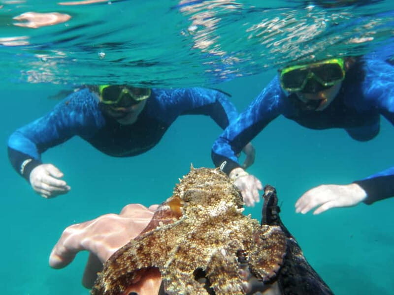 Fuerteventura: 1-hour private mini-cruise to Lobos Island - The Sum Up