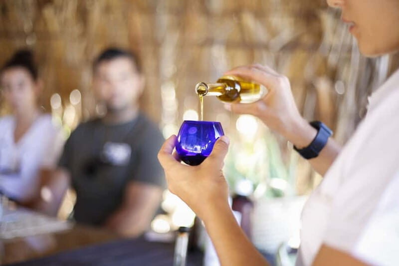 Fuerteventura Aloe & Olivo Tour with Optional Lunch - Tasting, Dining, and Taking in the Views