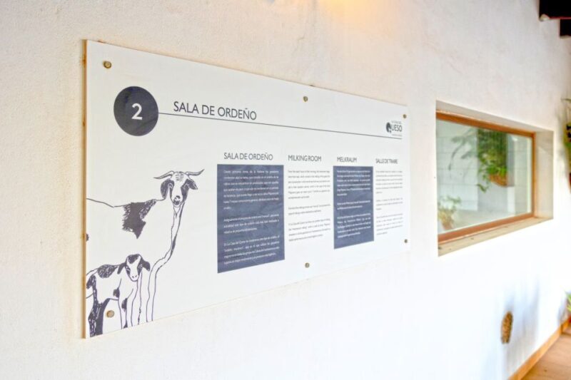 Fuerteventura: Artisan Goat's Cheese Making at Local Farm - Practical Details and Tips