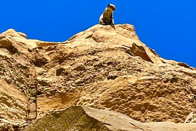 Fuerteventura: Discover Fuerteventura GRAND Islandtour - The Sum Up