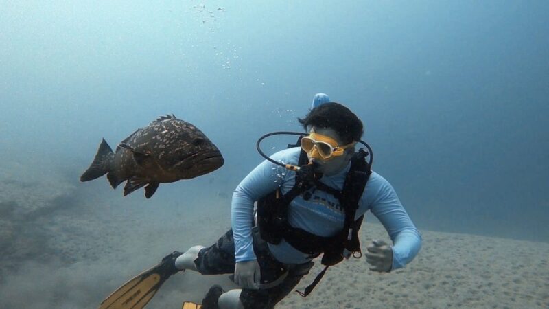 Fuerteventura: Discover Scuba Diving - What Past Participants Say