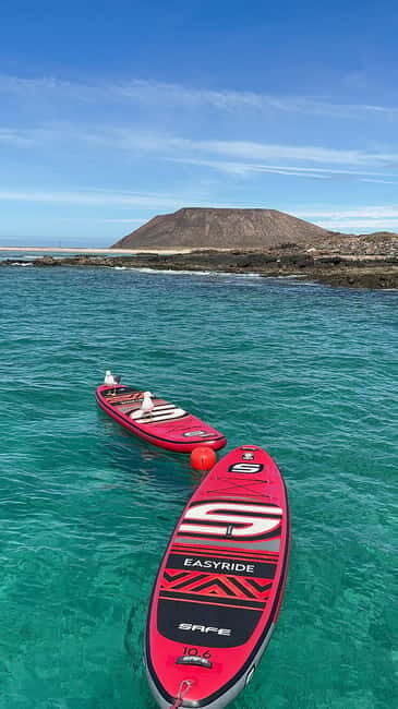 Fuerteventura: Dolphin watching and Lobo Island Combo Cruise - What to Expect From the Tour