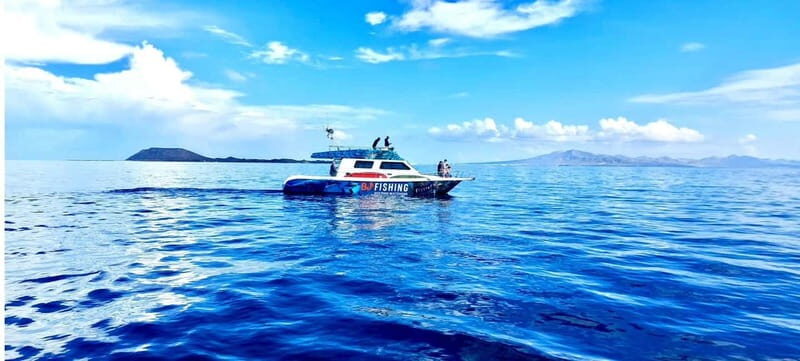 Fuerteventura: Dolphin watching and Lobo Island Combo Cruise - Authentic Insights from Travelers