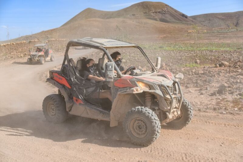 Fuerteventura: Dune Buggy Tour in Northern Fuerteventura - Key Points