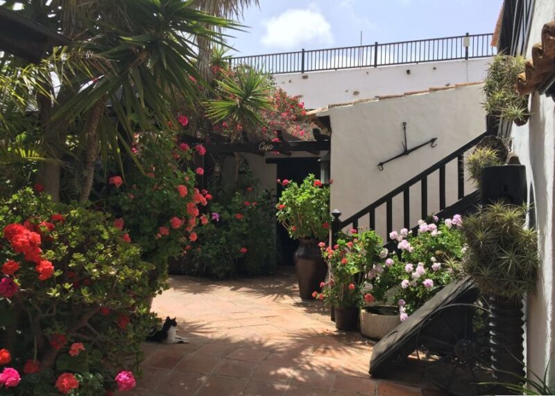 Fuerteventura: Full Day Tour with Lunch - Who Is This Tour Best For?