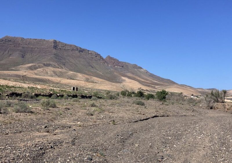 Fuerteventura: Guided Trekking Tour with Island Goats - Practical Tips for Participants